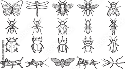 Diverse collection of intricately illustrated insect species in black and white, showcasing a variety of bugs in stunning detail.