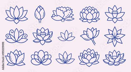 Lotus flower doodle collection with hand drawn outline style. lotus, bud, bloom, petals, waterlily, floral symbol. Elegant garden elements for yoga branding.