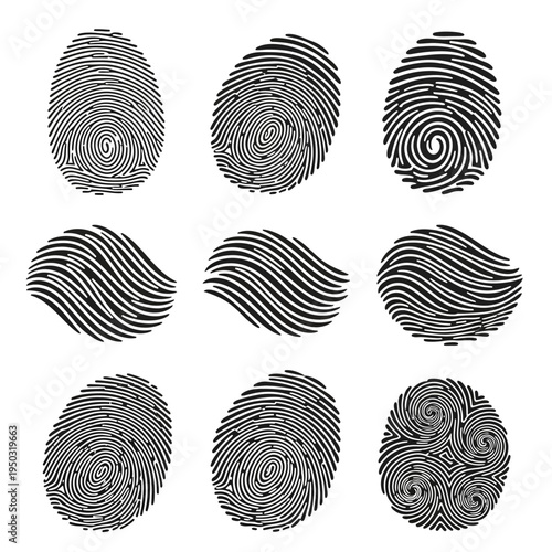 Collection of Diverse Fingerprint Patterns: Identification, Security, and Uniqueness Concepts