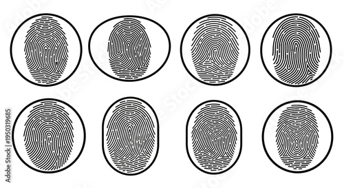Collection of Fingerprint Patterns for Identification and Security Concepts