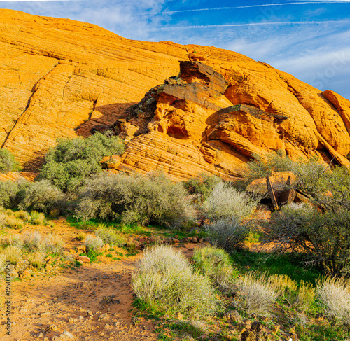 Red Navajo Sandstone Formations  on Petrified Sand Dunes, Butterfly Trail, Snow Canyon State Park, Utah, USA