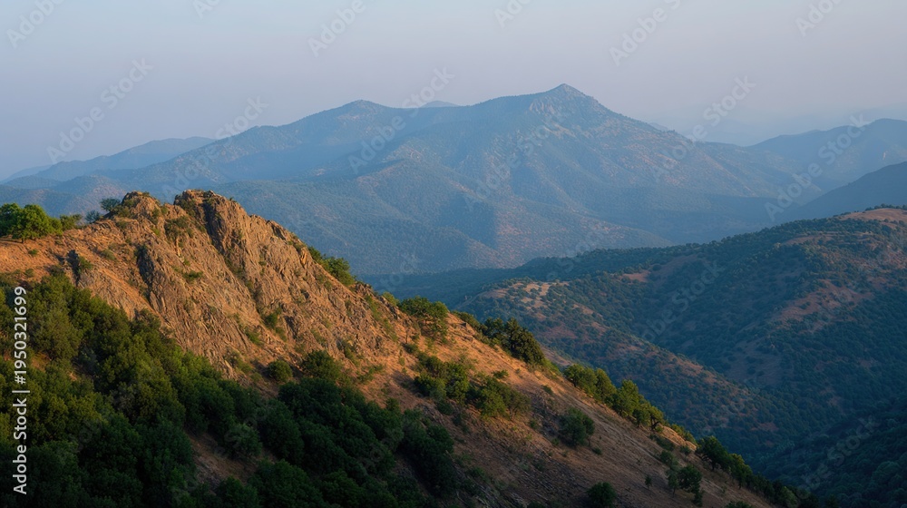 Fototapeta premium Cool Blue Mountain Landscape at Summer Golden Hour wildlife scene