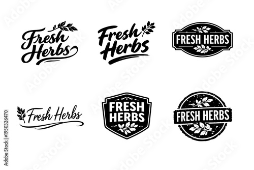Set of fresh herbs logos in vintage black and white design style