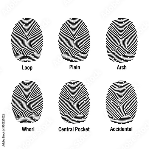 Fingerprint Patterns: Loop, Arch, Whorl, Plain, Accidental, Central Pocket Types