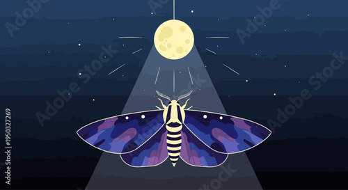 Mysterious Moth Under Moonlight, Night Sky with Stars, Vector Illustration
