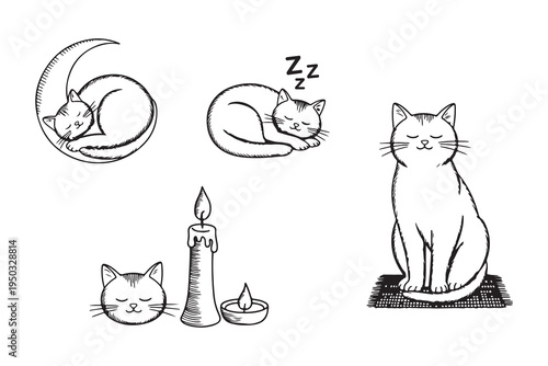 Set of various sleeping cat illustrations with candles and moon in black and white line art style