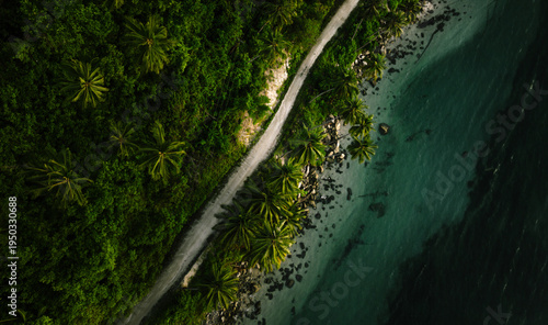 Canvas Print The Beach of Exotic Island in the Sunrise