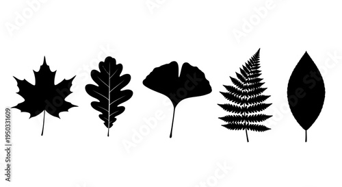 Diverse Leaf Silhouettes Collection: Maple, Oak, Ginkgo, Fern, and Oval Leaf