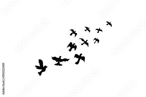 Flying Birds Silhouette Flock Freedom Nature Icon Set