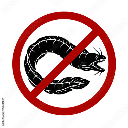 Moray Eel Warning and Eco-friendly Diving Safety