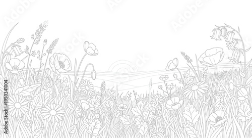 Detailed black and white line art illustration of various wildflowers blooming vibrantly across a grassy meadow landscape