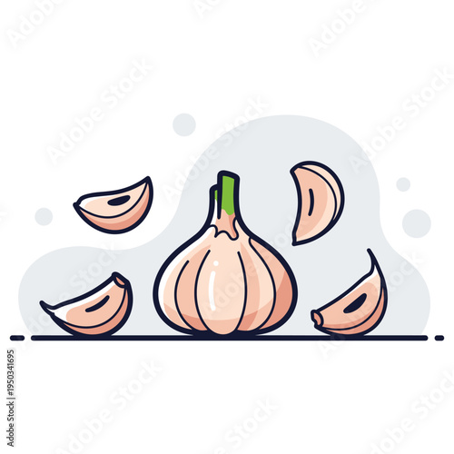 Whole garlic bulb with separated cloves on white background. non editable strokes