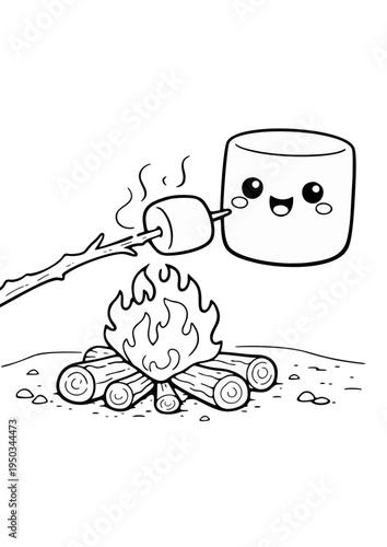 marshmallows over the campfire for dinner and camping