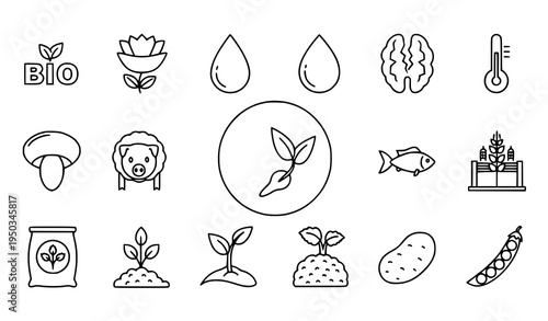 Thin line agriculture and ecology icon pack with bio mushroom seedling sheep potato fish and fertilizer vector