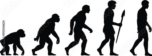 Human evolution silhouettes, progression from primate to modern man, evolutionary biology concept, primitive tool use, cultural development, scientific vector illustration design