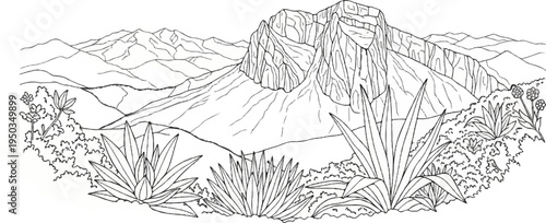 A line drawing of a mountainous desert landscape with succulents and sparse flora