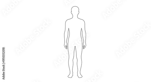 A simple minimalist line drawing depicts the full body outline of a standing human figure facing forward high quality