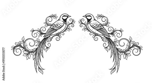 Symmetrical line art illustration of two ornate birds with elaborate scrolling tails, forming a decorative vintage frame element on an isolated white background.