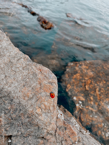 rocky terrain with stones against the backdrop of a seashore with blue water and waves