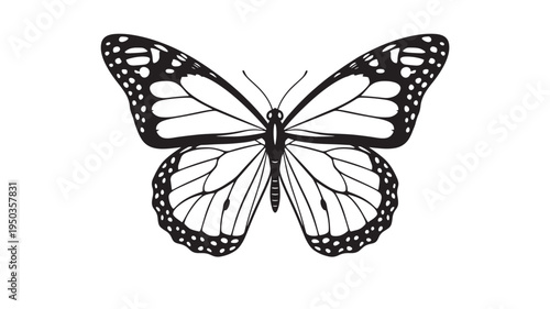 Monarch butterfly black and white vector illustration with intricate vein patterns and dotted wing edges for decorative use