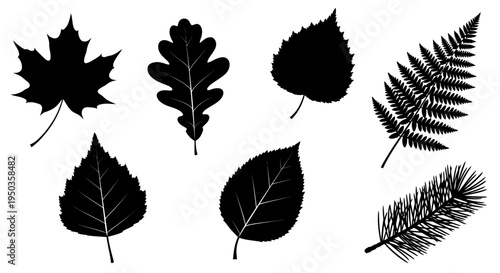 Collection of Black Leaf Silhouettes: Maple, Oak, Birch, Fern, Pine