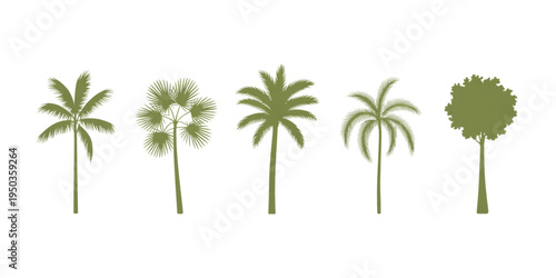 A collection of five distinct green tree silhouettes featuring various tropical palm tree species Vector