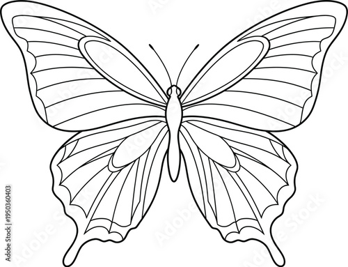 Detailed symmetrical butterfly outline design perfect for coloring book pages and creative art projects