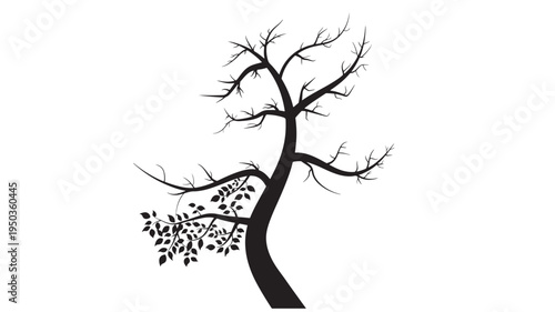 Tree silhouette with sparse leaves against a clean white background, symbolizing nature's contrast and transformation, ideal for design.