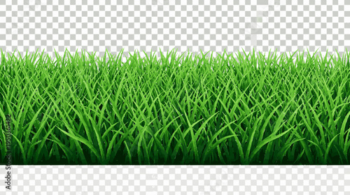 Vibrant green grass strip with layered blades on transparent background for design