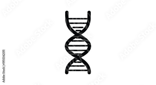 A simplistic black and white illustration depicts a double helix structure representing deoxyribonucleic acid and genetic information high quality