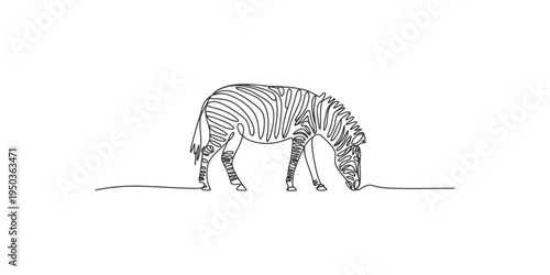 A black and white line drawing of a zebra grazing on the ground animal mammal