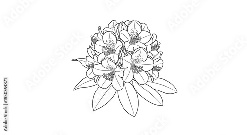 A detailed black and white line drawing depicts a cluster of blooming azalea flowers with lush foliage high quality