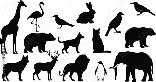 Animal silhouette illustration collection, wildlife artwork design, zoology education chart, domestic pet artwork, bird and mammal silhouettes, nature inspired graphic