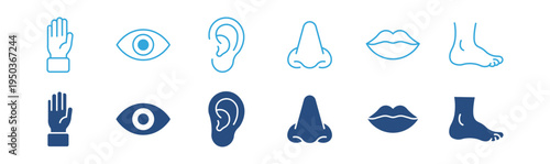 Human body parts icon set. Hand, eye, ear, nose, lips and foot icons, anatomy and medical body parts concept. Vector illustration.