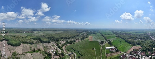 Wide angle aerial panorama of lush green rice fields and agricultural land under a bright blue sky.