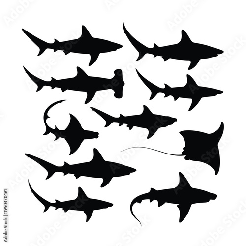 Variety of shark and ray silhouettes swimming in a dark ocean silhouette
