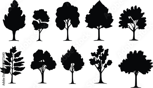 Deciduous tree silhouette collection with various forest tree shapes, black botanical icons isolated for nature landscape illustration, woodland design, garden graphics and eco themed projects