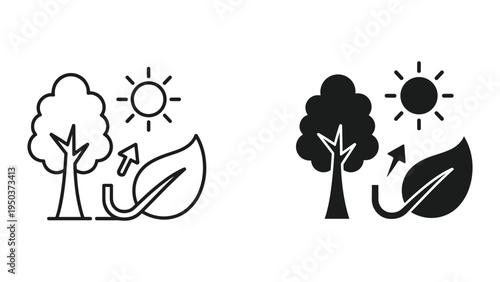 Tree Leaf Sun Growth Cycle Icon Set