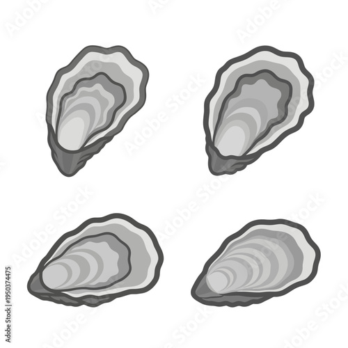 Four Fresh Oysters on White Background, Top View, Isolated Seafood Delicacy