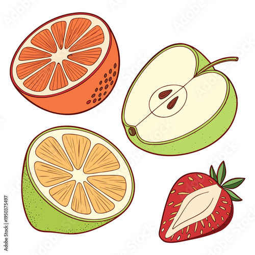 Fresh fruit illustration: orange, apple, lemon, strawberry halves, healthy eating, apple slice