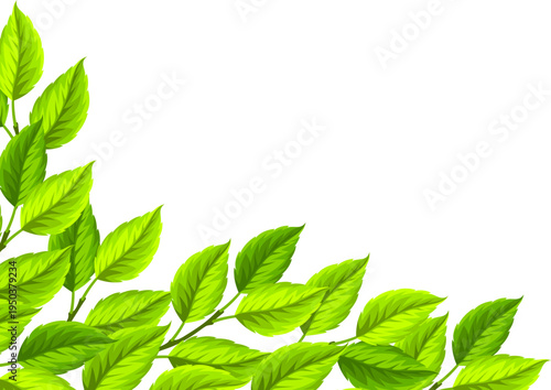 Background with leaves. Spring or summer stylized foliage.