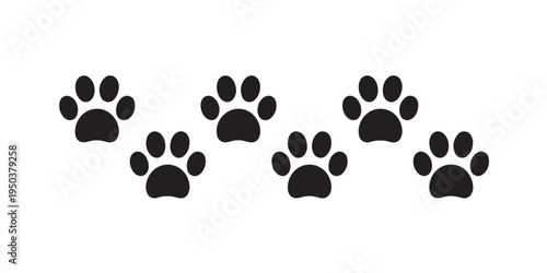 Paw prints of dog or cat in row on white background vector animal tracks