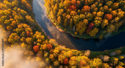 Aerial view of winding river in autumn forest with morning mist and golden foliage