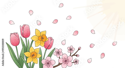 Colorful illustration of blooming flowers including tulips, daffodils, and cherry blossoms with pink petals against a white background, symbolizing spring season and March Equinox