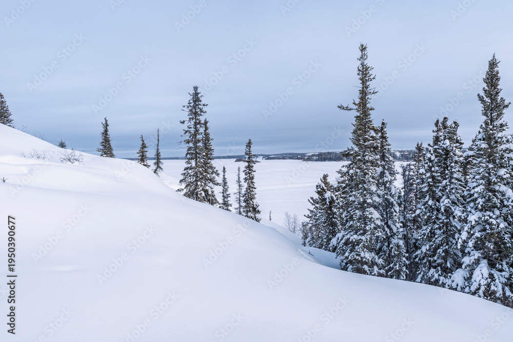 Fototapeta premium Winter scenery in Yellowknife, Canada