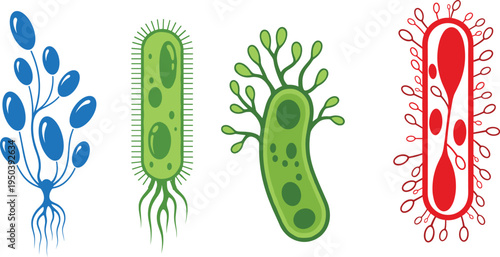Vector illustration of stylized microorganisms in diverse shapes and colors for microbiology and scientific artwork