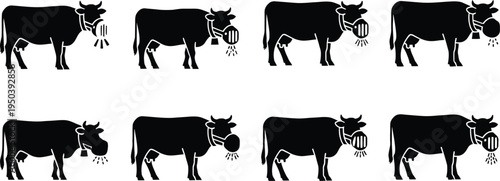 A group of eight black cows standing in two rows on a white background
