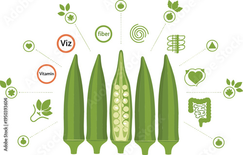 Okra Nutrition Concept with Lady Finger Pods, Vitamins, Fiber and Healthy Green Vegetable Food Infographic Vector Illustration