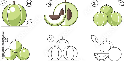 Amla Fruit Icon Set with Indian Gooseberry Whole, Sliced Fruit and Seeds Minimal Herbal Food Vector Illustration Collection