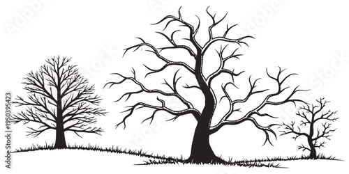 Three bare trees standing on a hill in a winter landscape